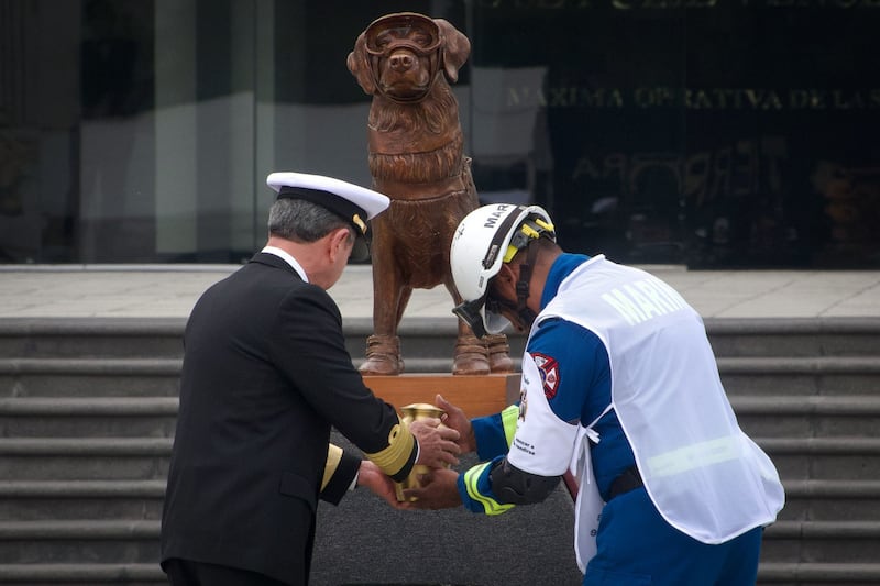 Frida: Secretaría de Marina ofrece ceremonia en honor a perrita