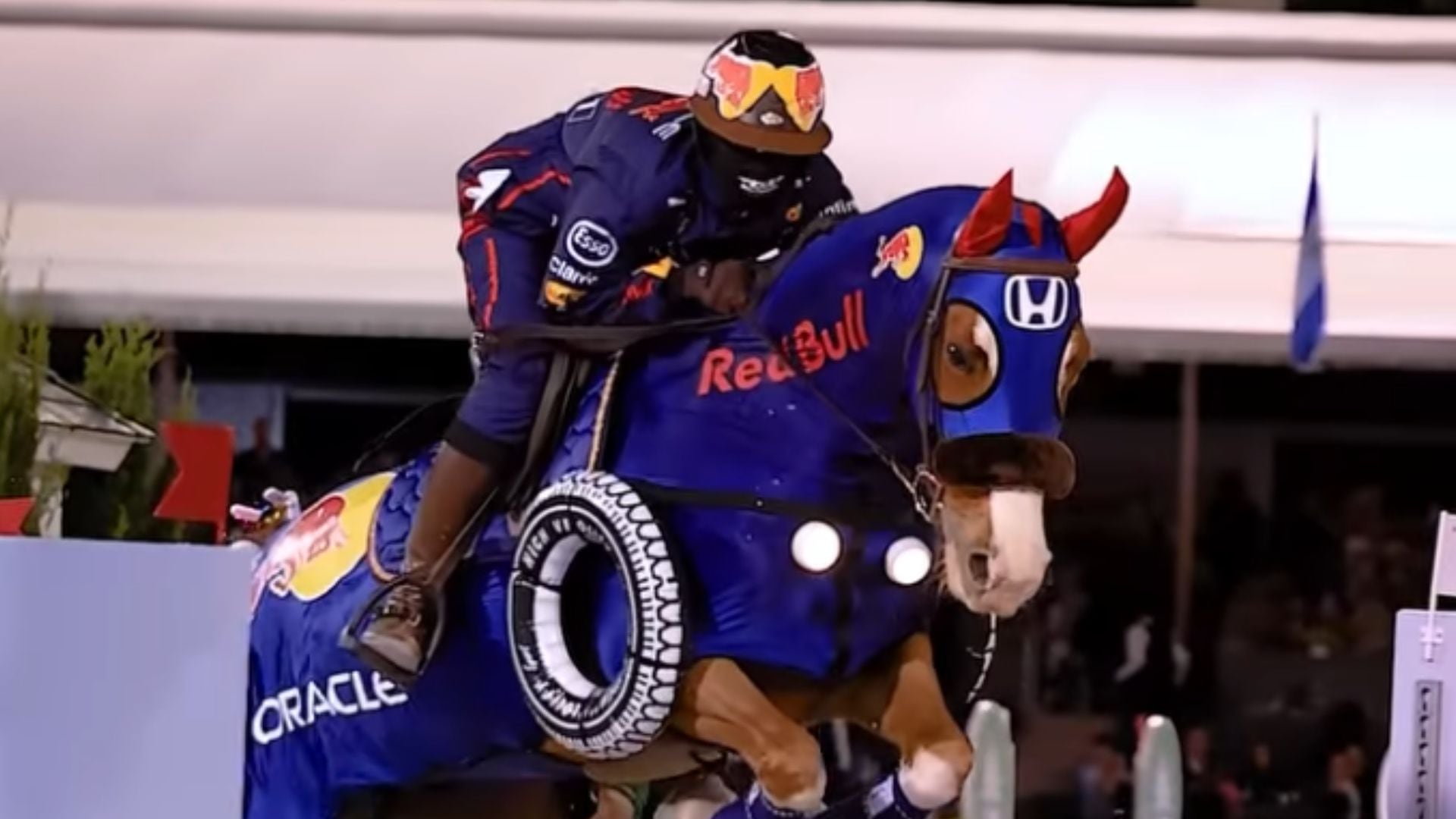 caballo vestido de Red Bull