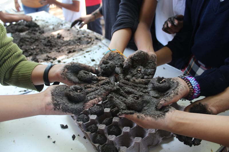 Las bombas de semillas fueron elaboradas por niños de diferentes escuelas de la entidad.