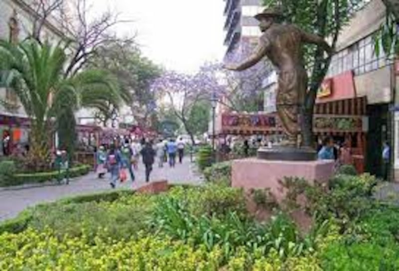 Zona Rosa