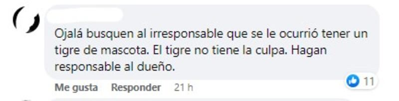 Comentarios en redes sociales