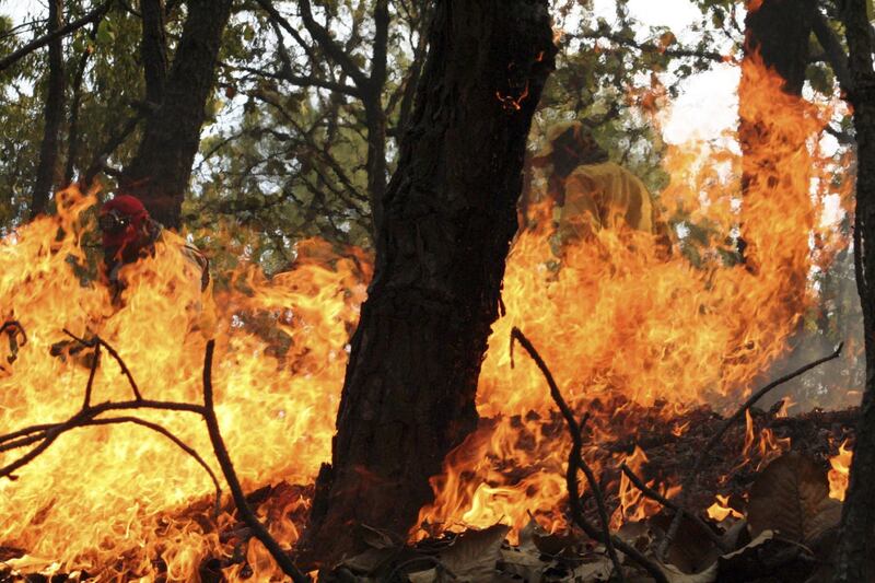 Incendio forestal.