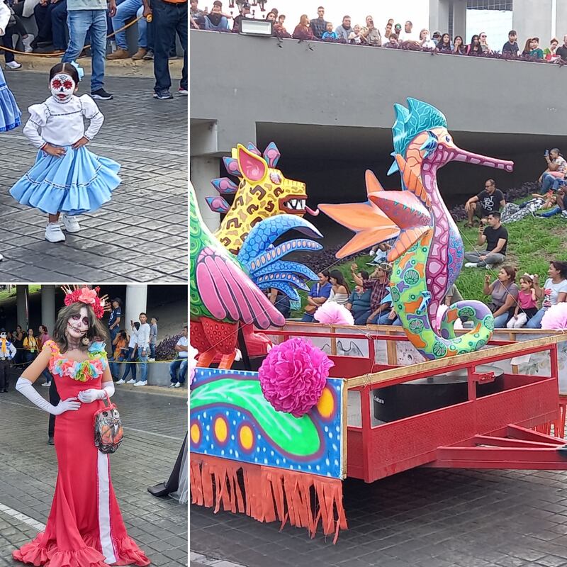 Ballet folclóricos, escuelas y grupos de coleccionistas también participaron.