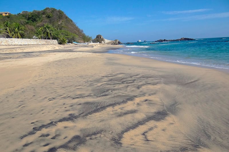 Playas de Mazunte puede liberar a tortugas