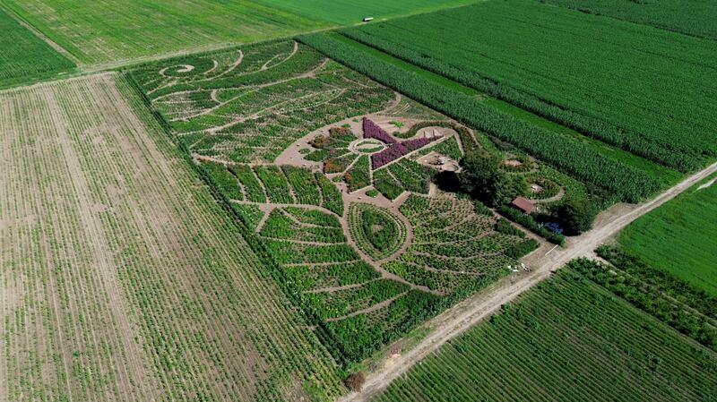 Jardín de Dalias conocido como “Serpiente de agua