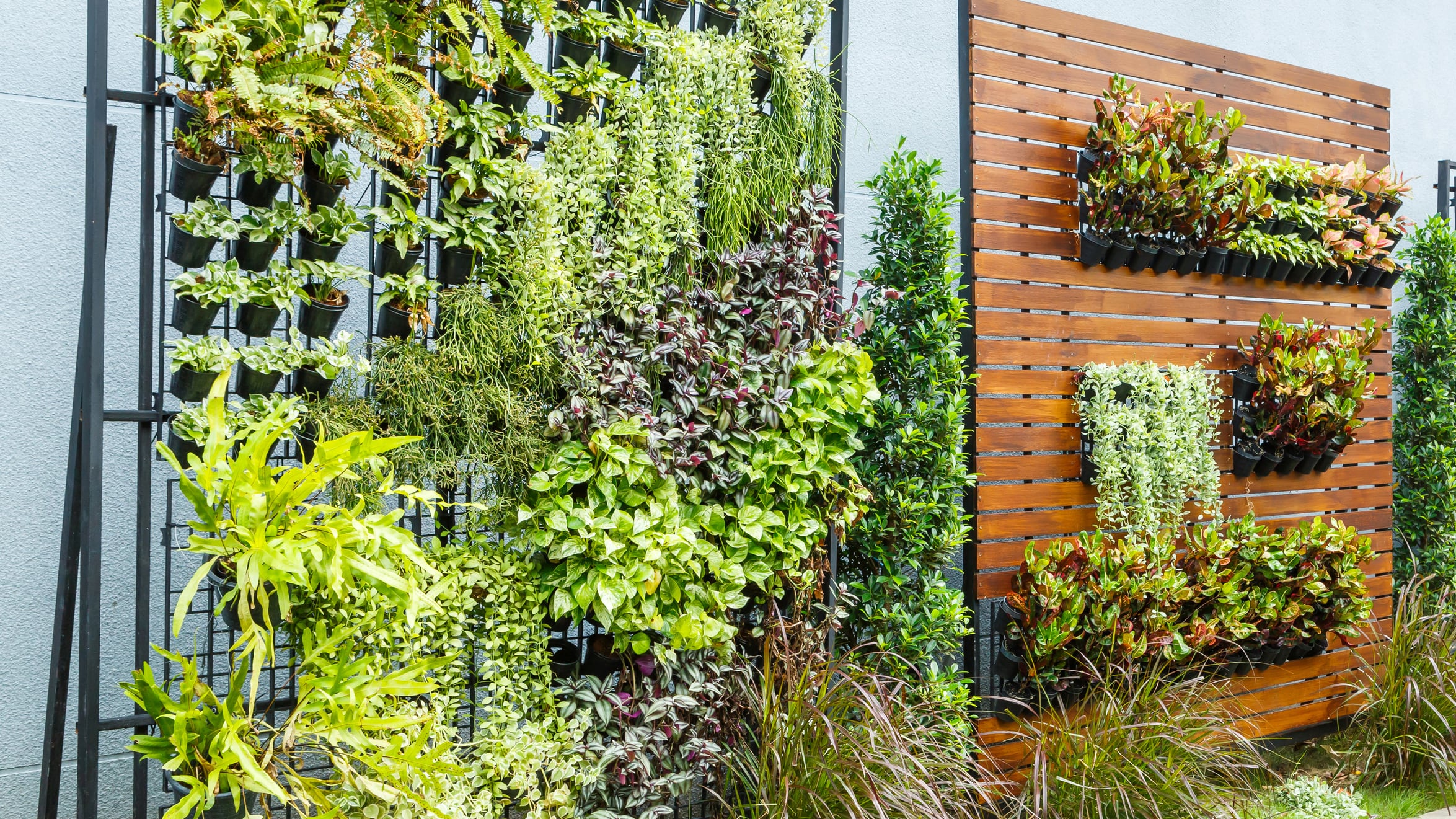 Eleva tu terraza con un jardín vertical, el cual hará de ese rincón un lugar más verde y acogedor
