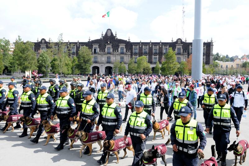 Delfina Gómez Álvarez promueve el bienestar animal con caminata y caravanas de atención a mascotas