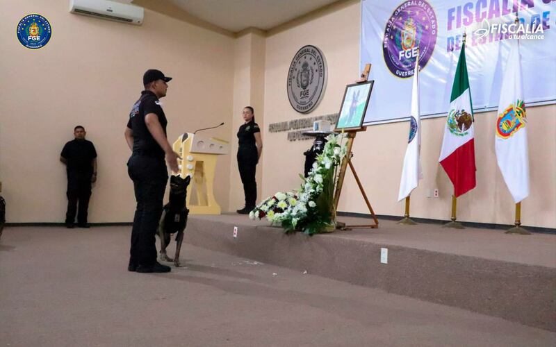 Fiscalía de Guerrero homenajea a agente canino Nidan