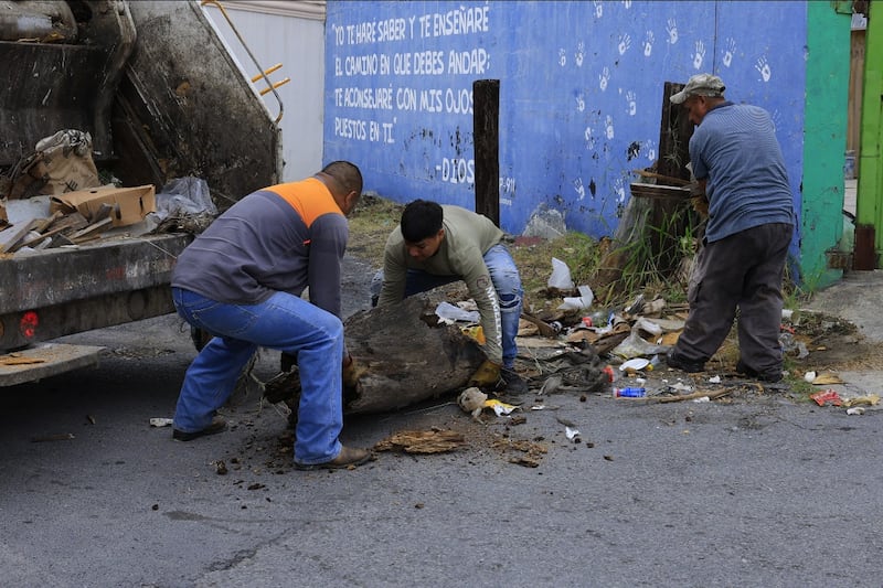 El camión recolector de basura podrá llevarse bolsas y cacharros acumulados en los patios.