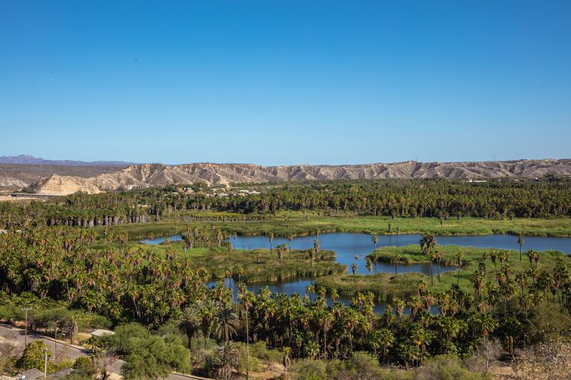 12 experiencias imperdibles por hacer en Los Cabos