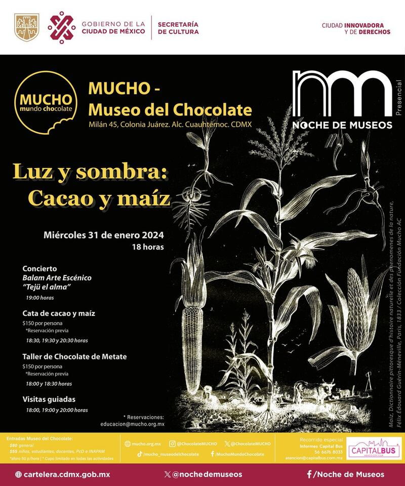 Museo del Chocolate