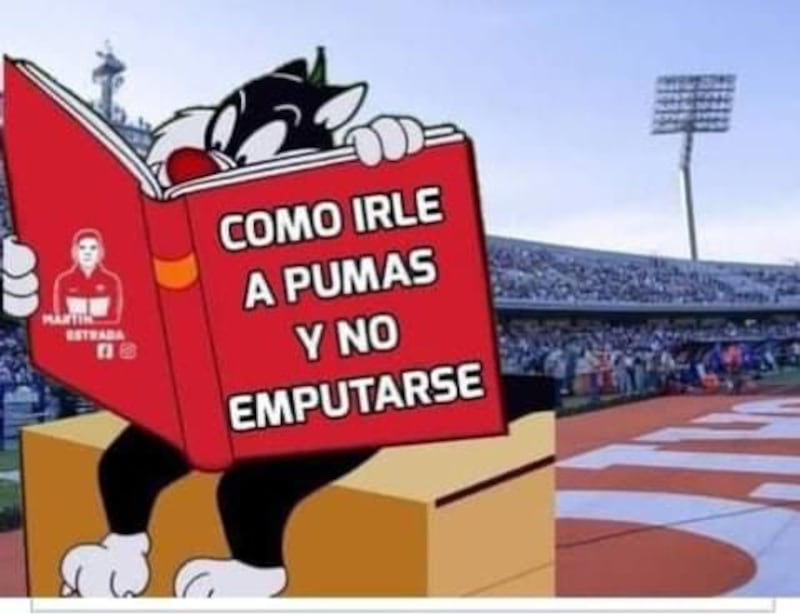 meme Silvestre Pumas