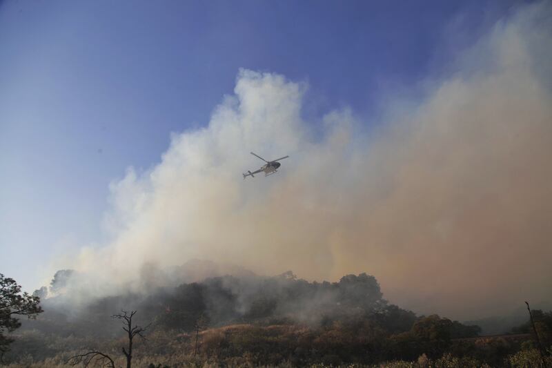 Casi 200 brigadistas de diferentes corporaciones trabajan para tratar de controlar el fuego que inició ayer en el bosque de La Primavera.