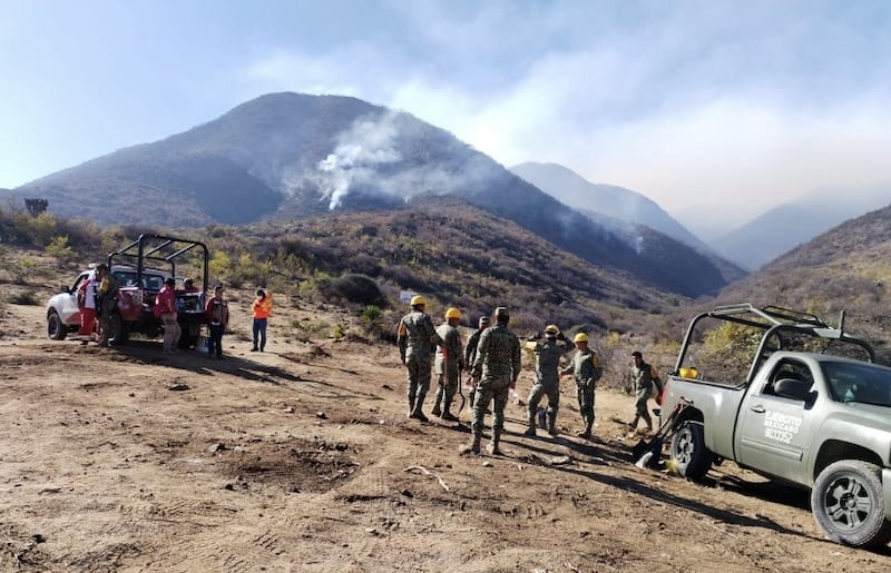 Al menos cinco comuneros mueren calcinados durante incendio forestal en Oaxaca