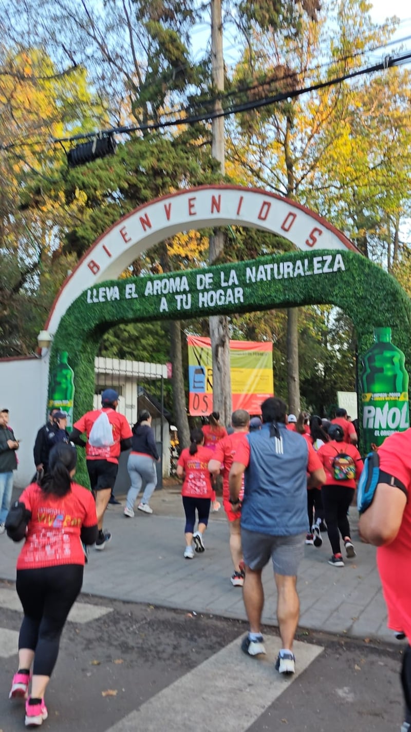 La edición número 17 de la tradicional carrera de los Viveros de Coyoacán no solo promueve el deporte, sino que también recauda fondos para la conservación del área