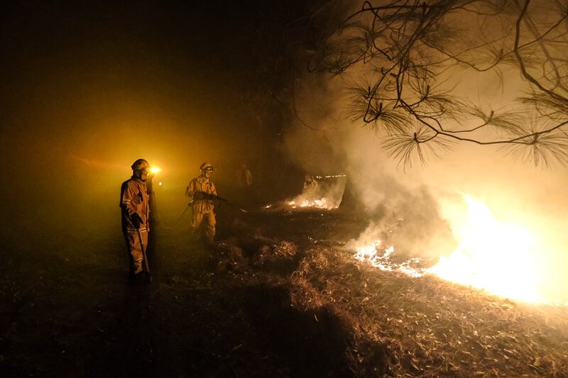 La falta de humedad en el entorno es el factor primordial para el incremento de los incendios forestales.