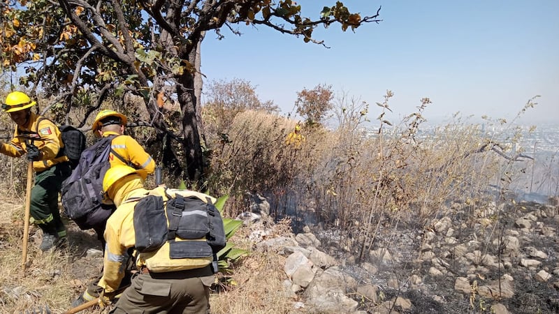 Elementos de varias corporaciones acudieron al cerro para evitar que las llamas se propagaran al interior del bosque.