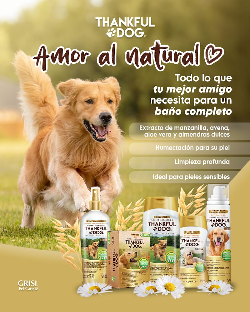 Shampoo Del Perro Consentido