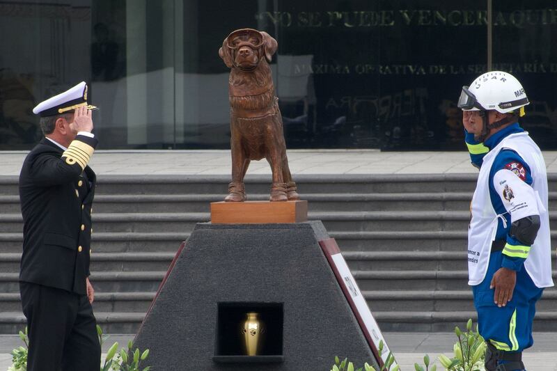 Frida: Secretaría de Marina ofrece ceremonia en honor a perrita