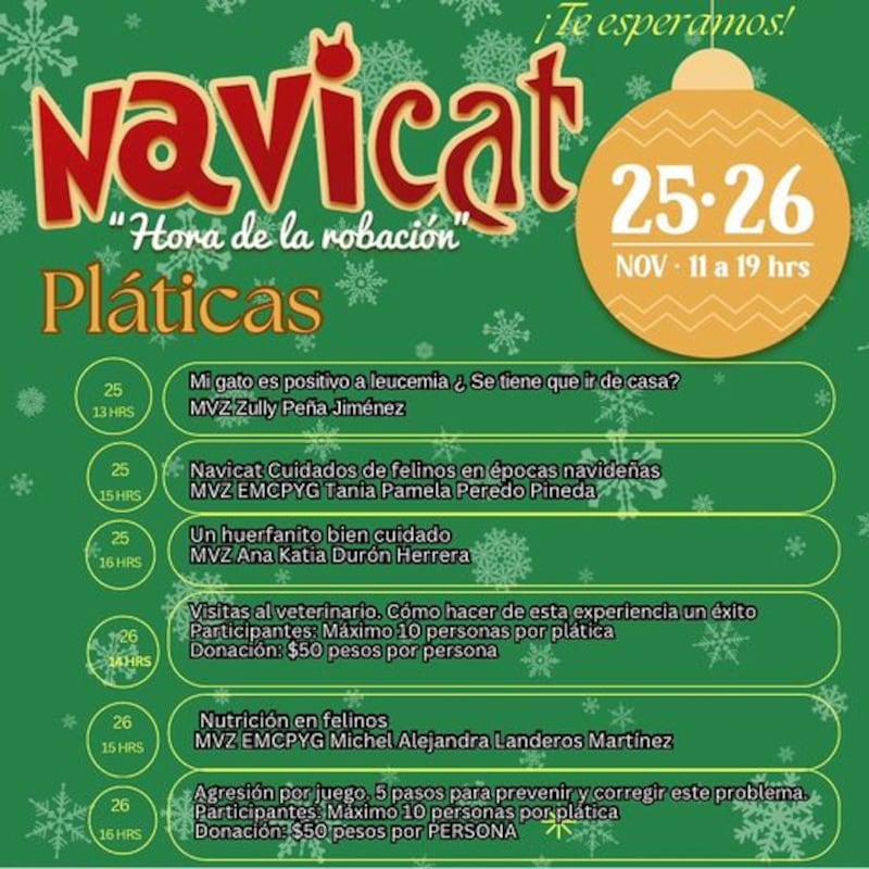 Navicat 2023 conferencias