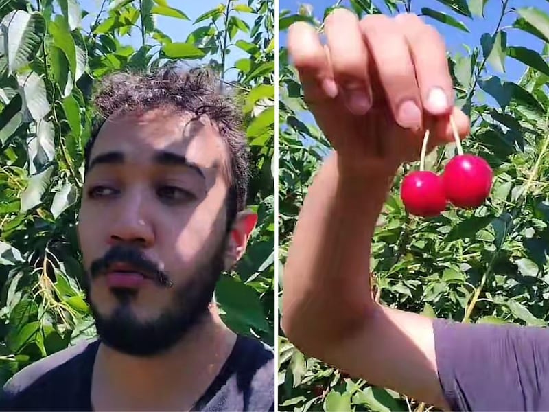 Mexicano trabajando en Canadá