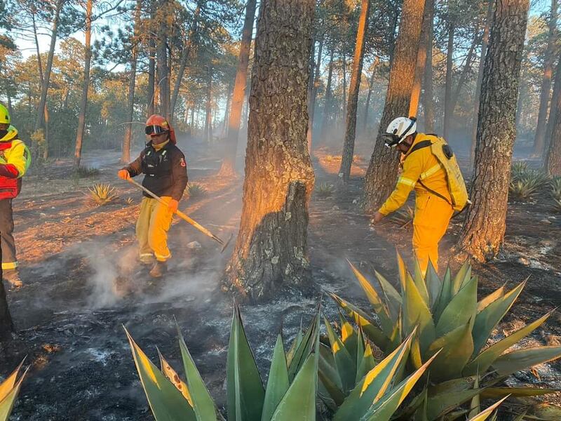 Más de 50 personas trabajan para sofocar el incendio en Galeana.