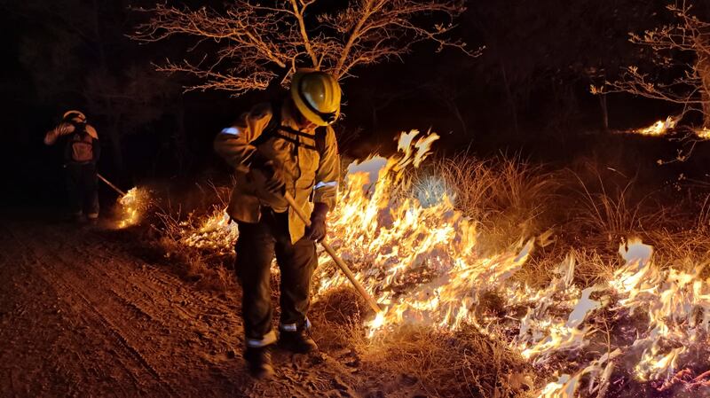 El fuego fue controlado este mediodía.