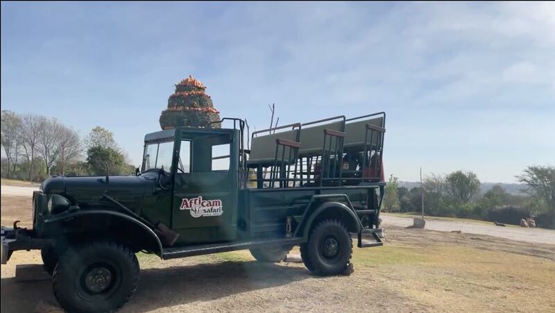 Hoy la jirafa Benito conoce a su nueva familia en Africam Safari