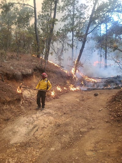 Bomberos sólo han logrado controlar dos de los incendios forestales esta mañana.