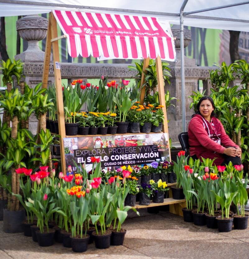 Festival de Flores de Orquídeas