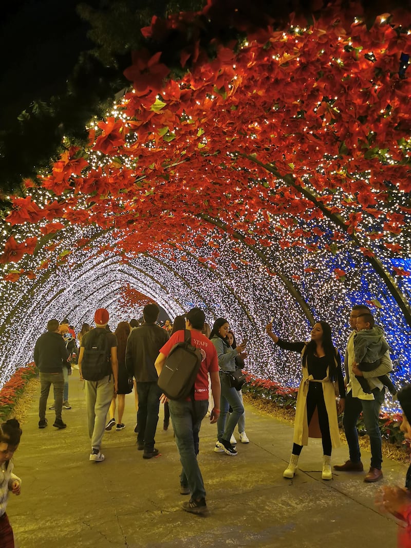 La tercera edición del festival de invierno inició en el Parque Ávila Camacho.