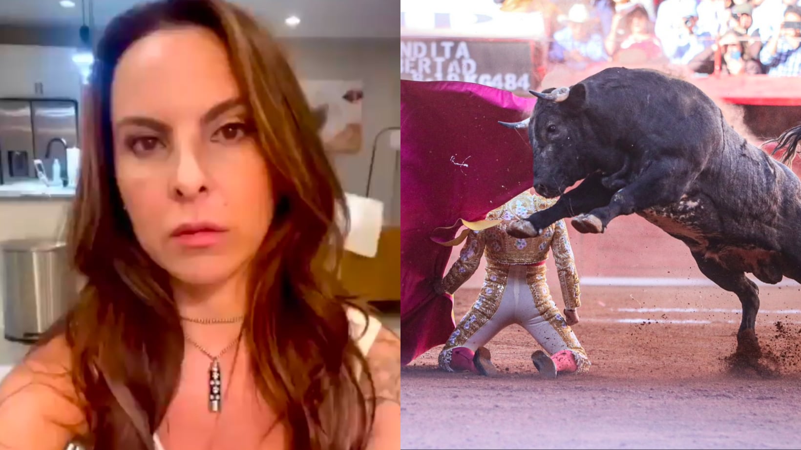 Kate del Castillo calificó como un espectáculo sangriento las corridas de toros.