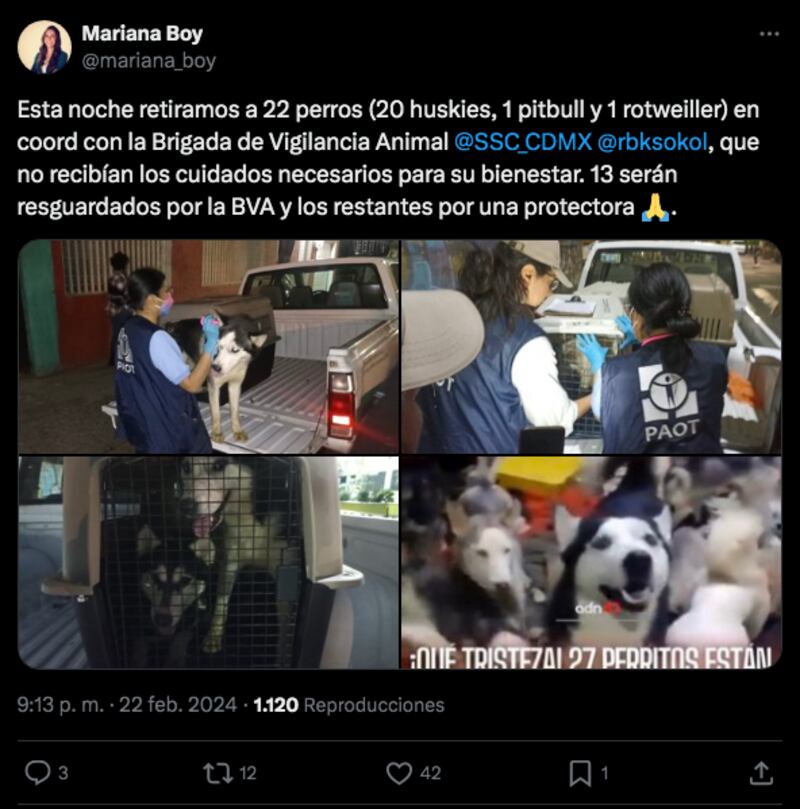 perritos-fueron-rescatados-por-la-BVA-y-SSC-de-la-CDMX