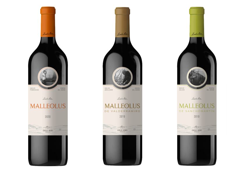 La Familia Malleolus presenta tres etiquetas de gran potencia y estructura que seducirán el paladar de los amantes del vino