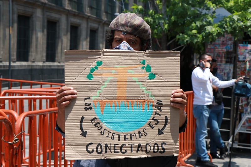 Los manifestantes insistieron en la necesidad de que el presidente conozca estudios científicos sobre la construcción del tramo 5 del Tren Maya.