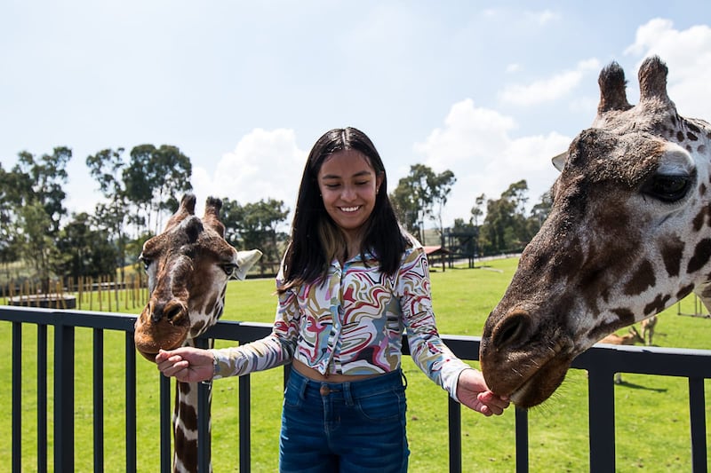 Parque Ecológico Zacango