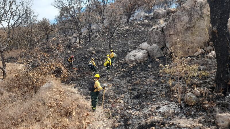 Los incendios en esta zona son constantes, a pesar de tratarse de un importante corredor ambiental.