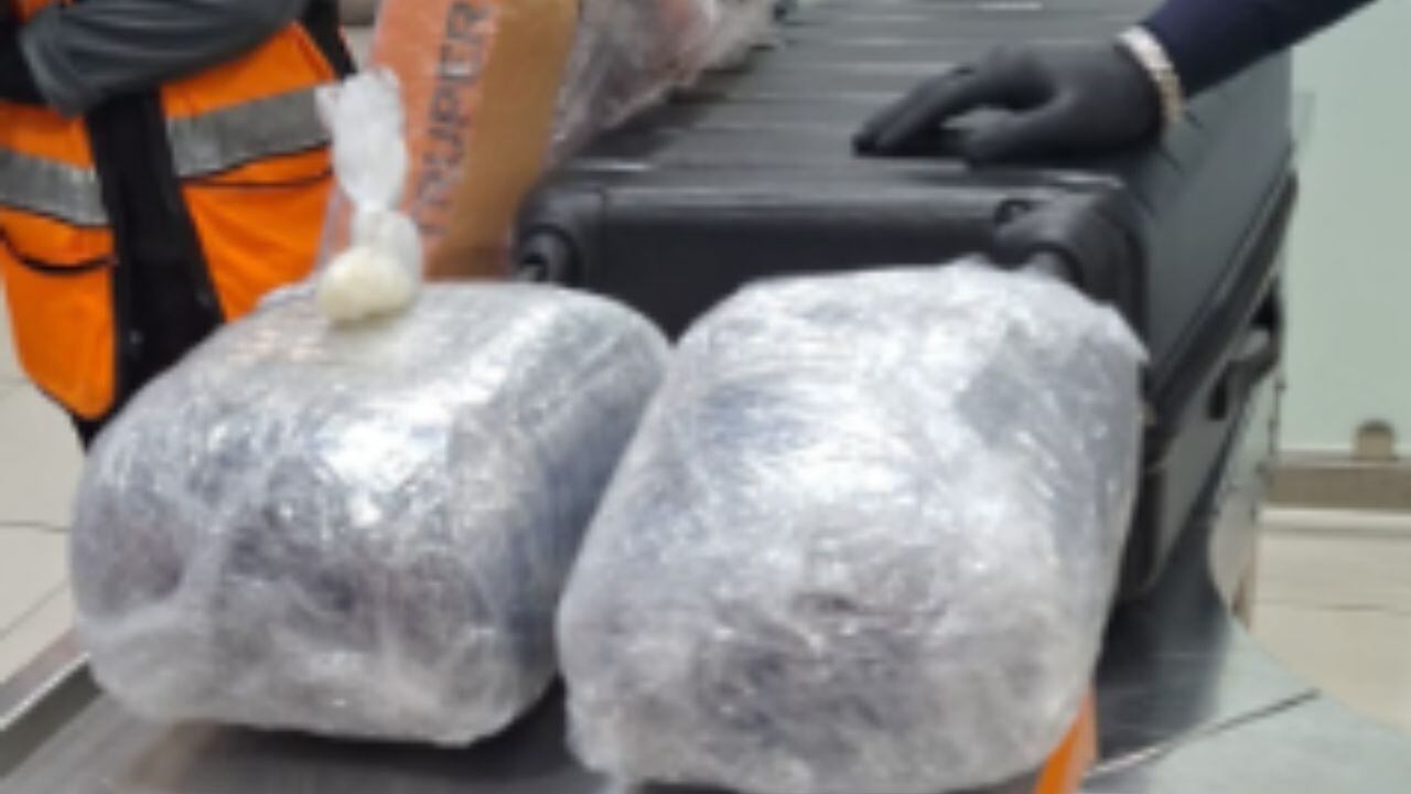 Intentan transportar maleta con metanfetaminas a Madrid desde el AICM