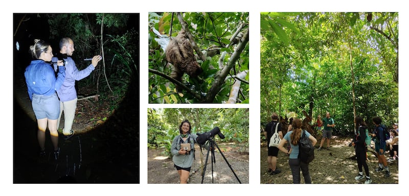 Conoce este eco-resort ubicado en Puerto Jiménez, Costa Rica donde la conservación y el lujo se fusionan en un entorno natural impresionante. Desde caminatas por la selva hasta cenas gourmet con ingredientes locales, este destino sorprenderá al ecoturista