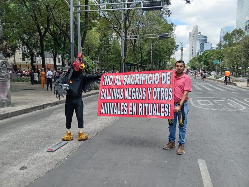 Marcha den defensa de los animales