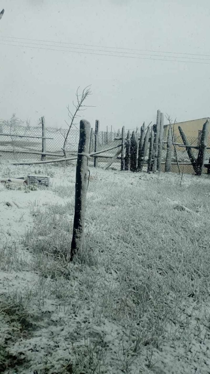 El paisaje blanco predominó el fin de semana.