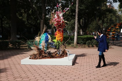 Tras dos años de ausencia las flores han regresado a colorear las calles de Polanco, en la Ciudad de México.