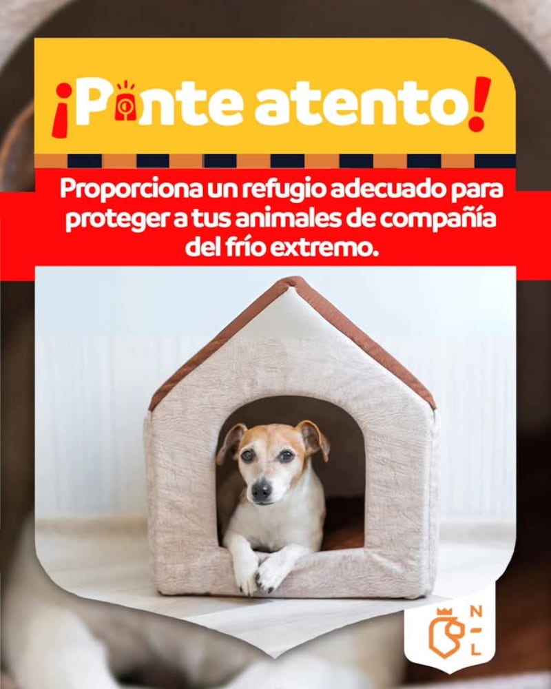 La campaña busca que las mascotas no sufran por las inclemencias del tiempo.