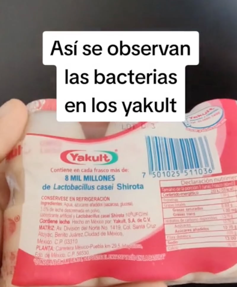 Lactobacillus casei de Yakult