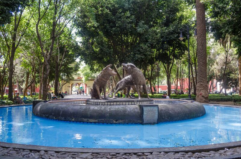 Parque Coyoacán