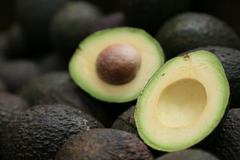 Son más de tres mil 200 productores de aguacate en Jalisco.