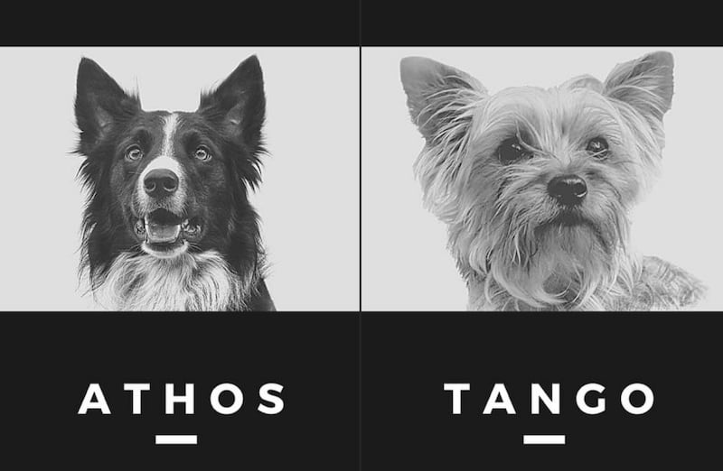 Athos y Tango