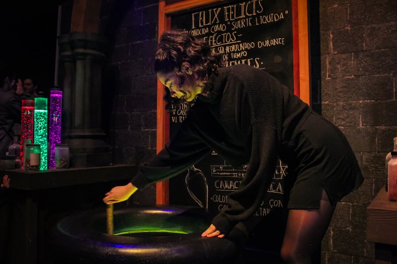 Harry Potter:Magic at Play