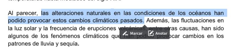 Aquí algunas frases replicadas en la tesis de la senadora panista.