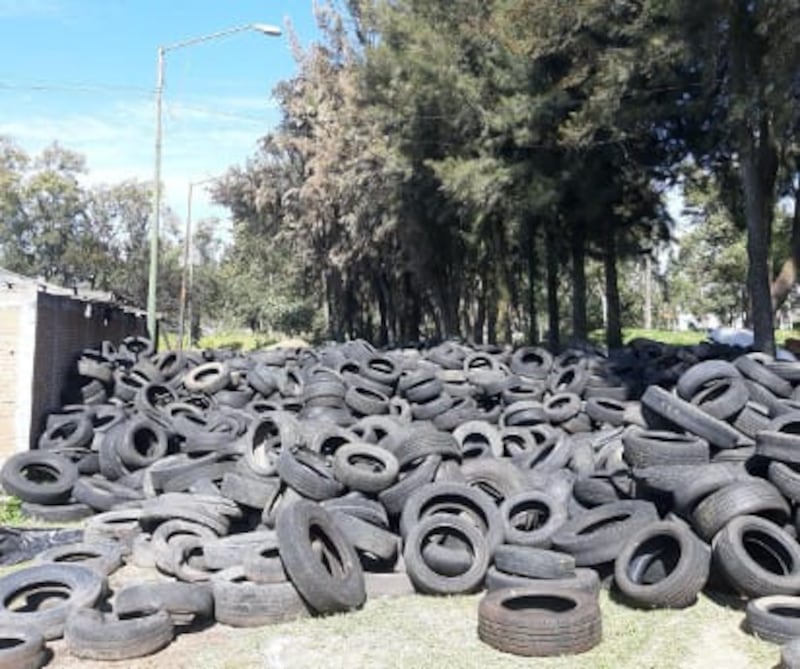 Neumáticos en tiraderos clandestinos